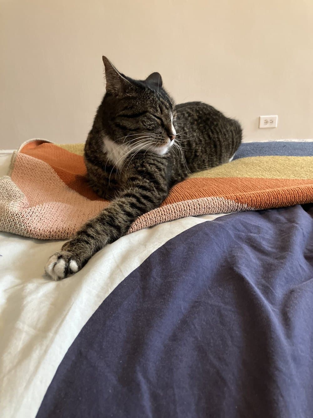 Pet Premium: How Animal Companions Are Reshaping Housing Markets and C